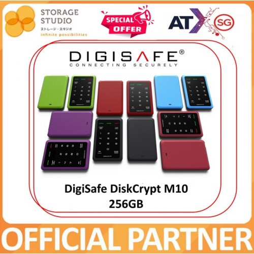 DIGISAFE DiskCrypt M10 256GB